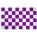 Checkered Purple & White 3' x 5' Polyester Flag, Pole and Mount