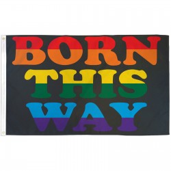 Born This Way Rainbow 3' x 5' Polyester Flag