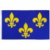 Fleur de Lis 3 Blue 3'x 5' Historical Flag